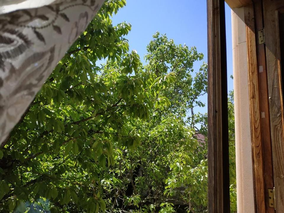 Сибиряк Tskaltubo Exterior foto