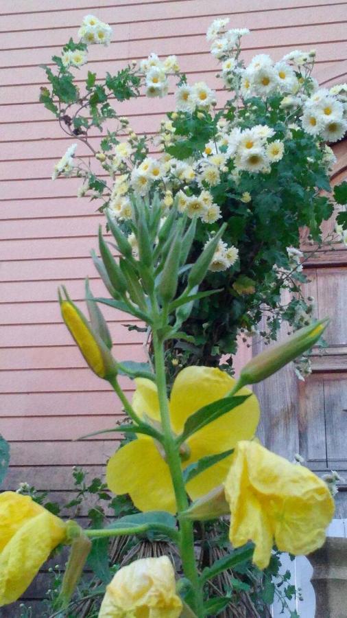 Сибиряк Tskaltubo Exterior foto